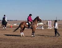 Horse Trainer Carol Jones setting up another exercise. Horse Trainer Carol Jones setting up another exercise.