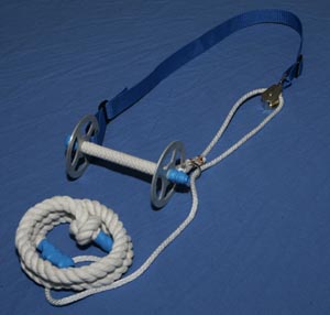 Click Here and Get Your Beery Pulley Bridle Now!