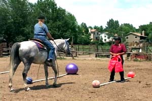 Vickie Weigel Training Professional Vickie Weigel Training Professional