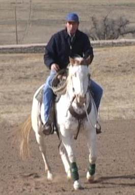 Sam Burrell Horse Training