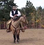 Brad Meyers Horse Training Videos