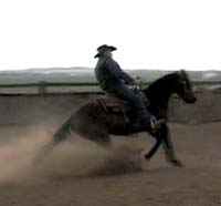 Horse Trainer Chuck Nesmith Sliding Stops