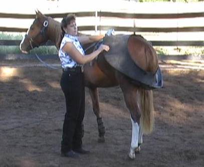Horse Trainer Diana Quintana
