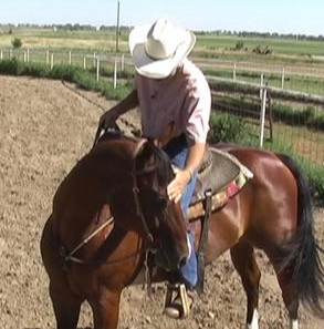 Horse Trainer J.J. Rydberg