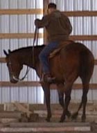 Horse Trainer Kenny Scott training his horse