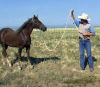 Professional Horse Trainer Paul Esh