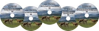 Click HERE to Read More About All Our Professoinal Training DVDs! Click HERE to Read More About All Our Professoinal Training DVDs!