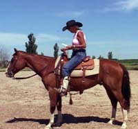 Professional Trainer Sue Robertson