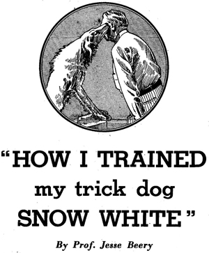 Dog Training Tips - Jesse Beery