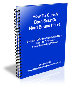 Barn Sour Herd Bound Horse