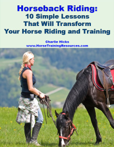 10 Simple Lessons eBook